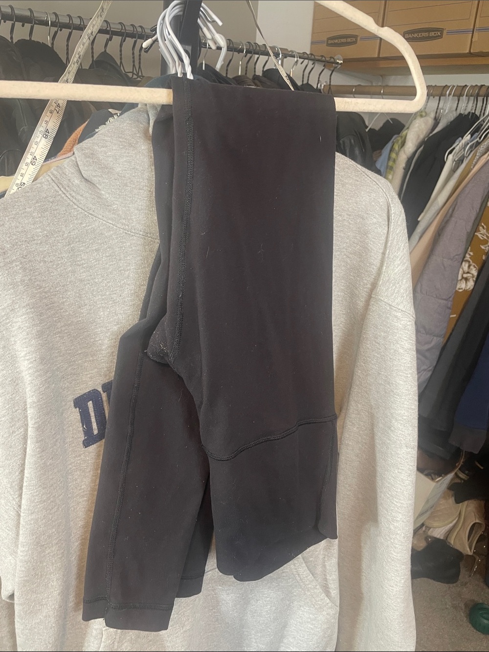 Lulu 6